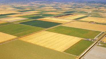 Aerial view of cropland. 