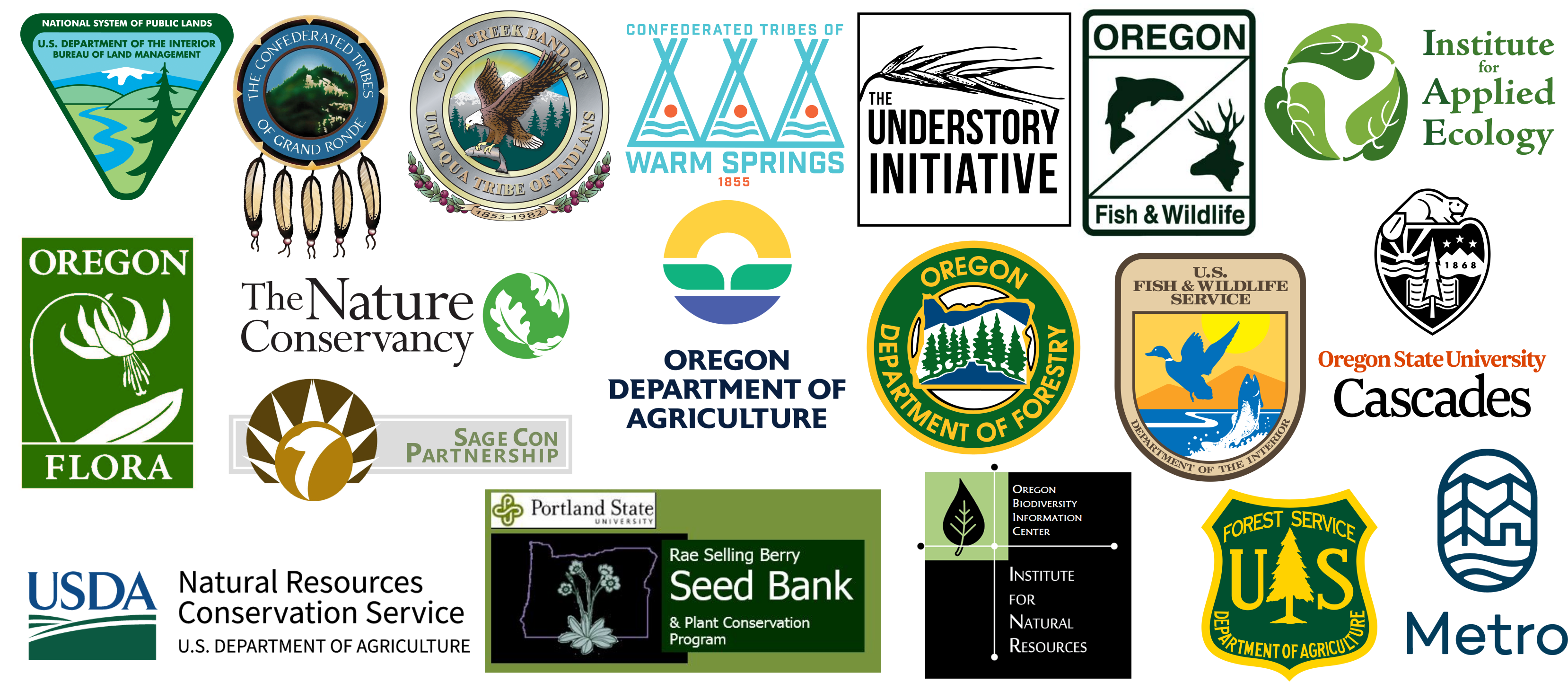 ONSC Partners_updated.png