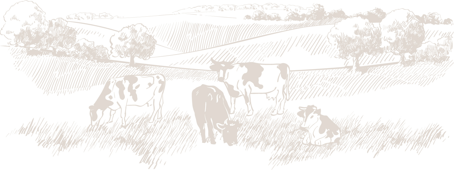 Farm Illustration