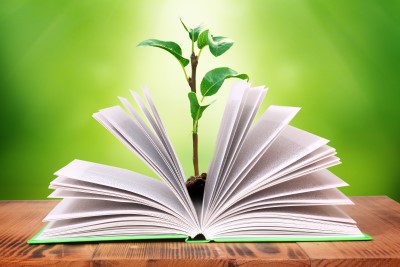 plant growing from book