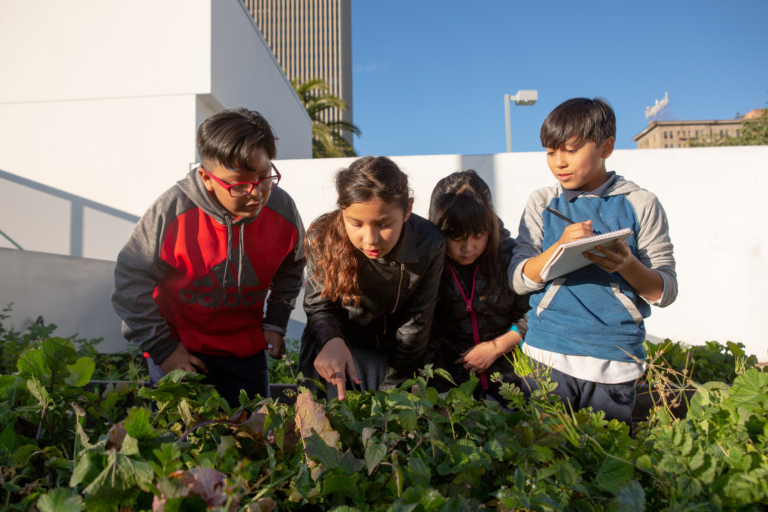 Middle school students garden outside.jpg