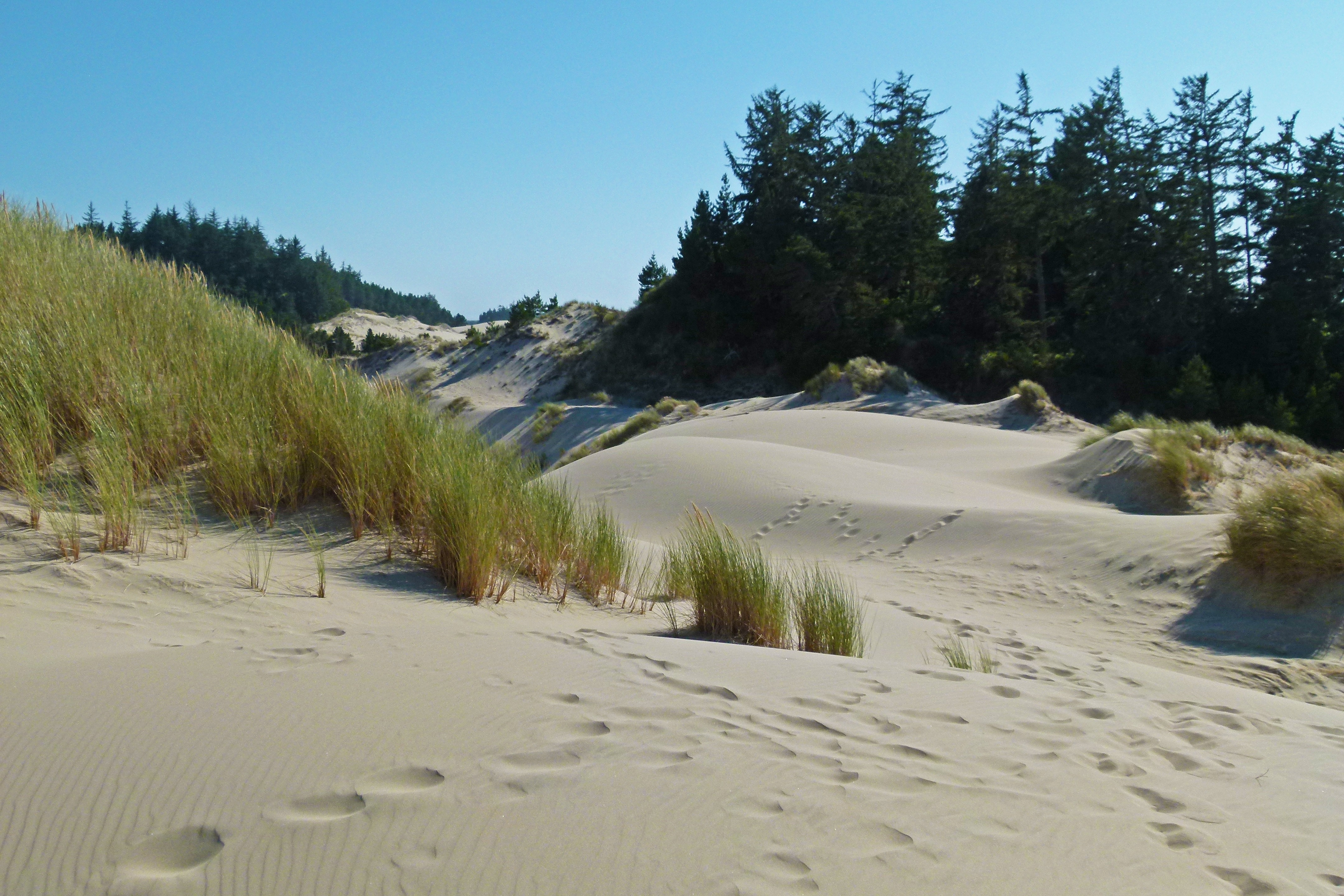 OR Sand Dunes