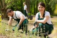 three people gardening.jpg