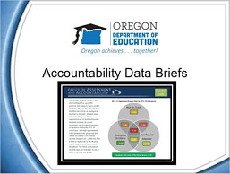Accountability Data Briefs