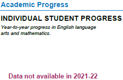 Academic Progress. Individual student progress. Year to year progress in English language arts and mathematics. Data not available in 2020-21.