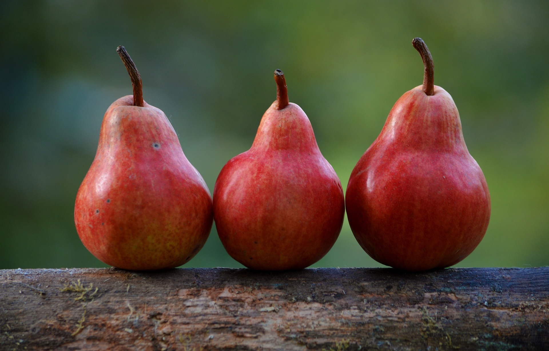 Three fresh red pears sitting side by side on a piece of wood.