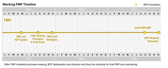 FMP timeline