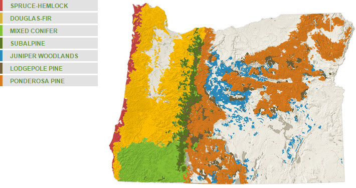 Forest types map