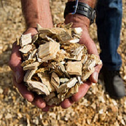 Photo of wood chips