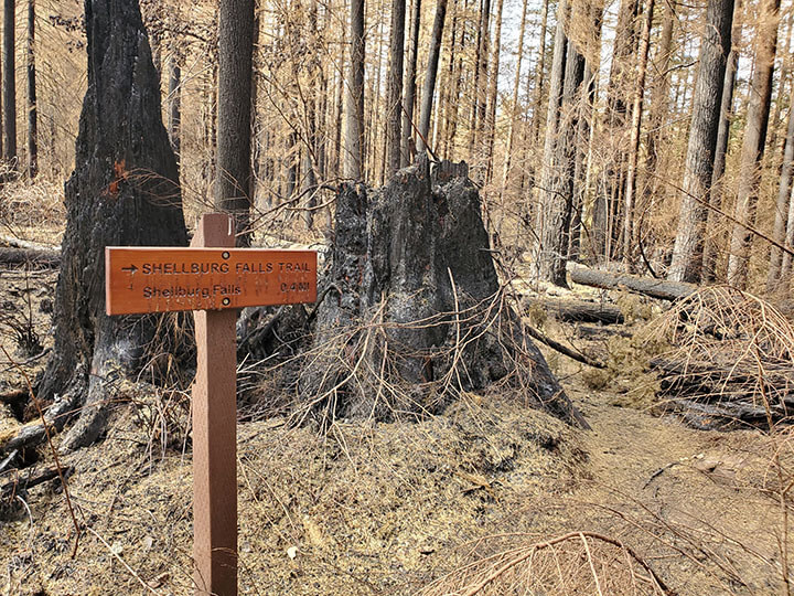 Burned trail sign for Shellburg Falls