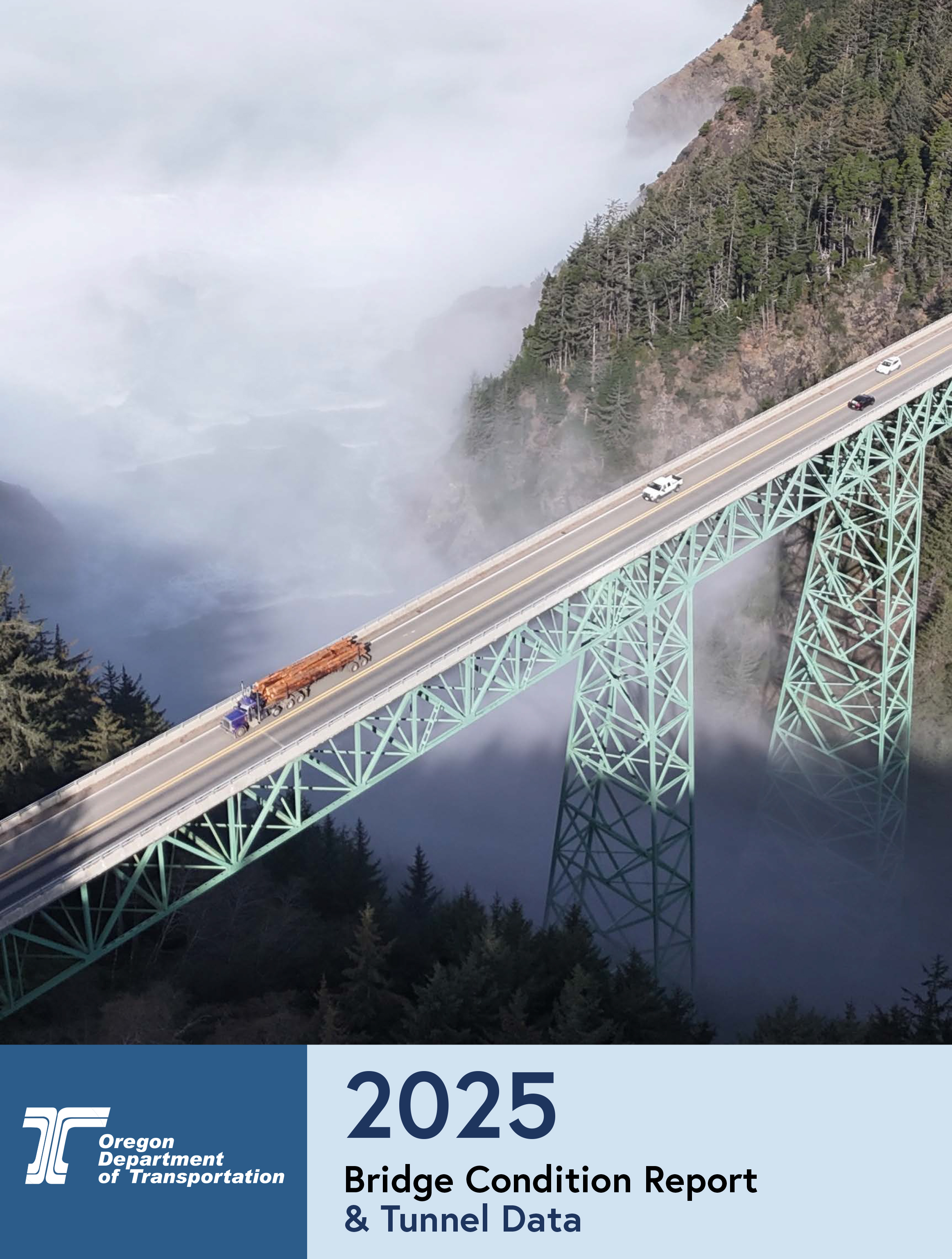 Cover of the 2025 Bridge report
