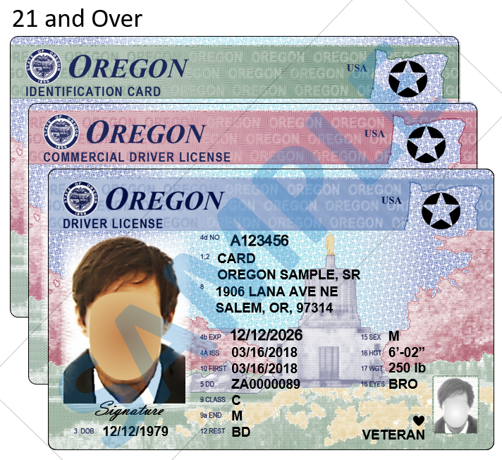 how can i find my drivers license number online for free