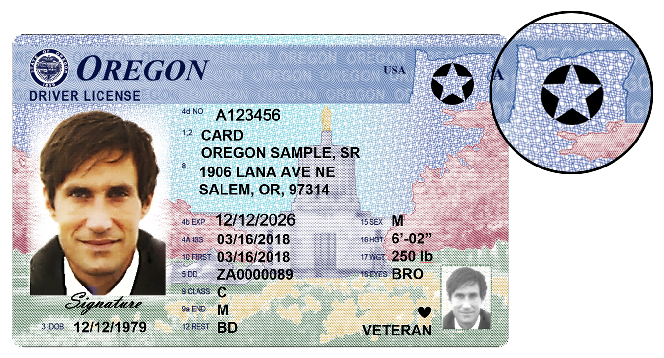 driver licence travel id