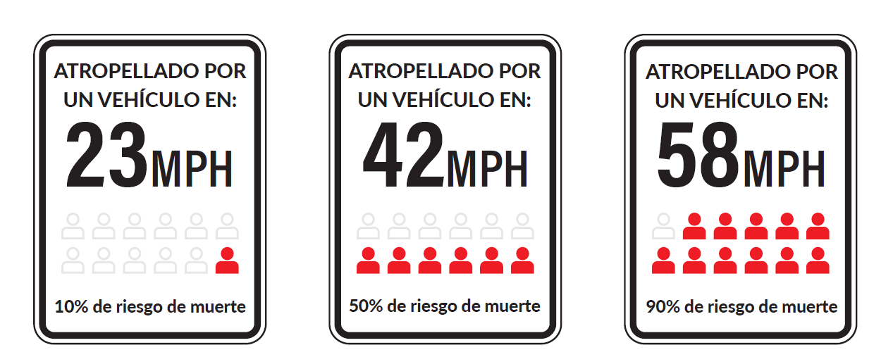 Atropellado por un vehículo que viajaba a: 23 mph, 10% de riesgo de muerte, 42 mph, 50%, 58 mph: 90% de riesgo de muerte