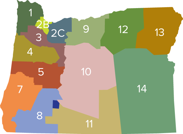 State district map
