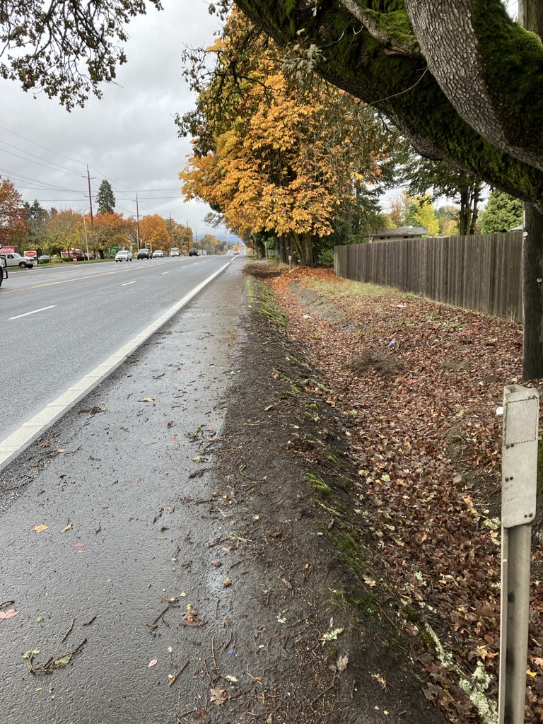 Alternate angle of project site