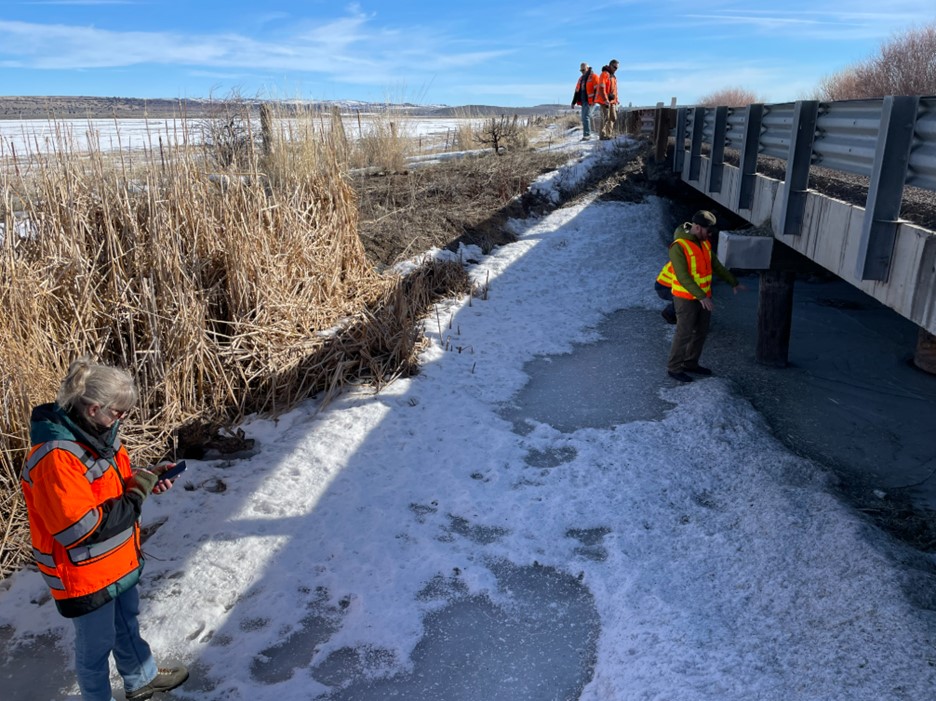 Photo of project area.