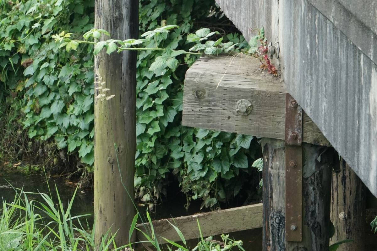 A closer look at the timber piles supporting the structure.