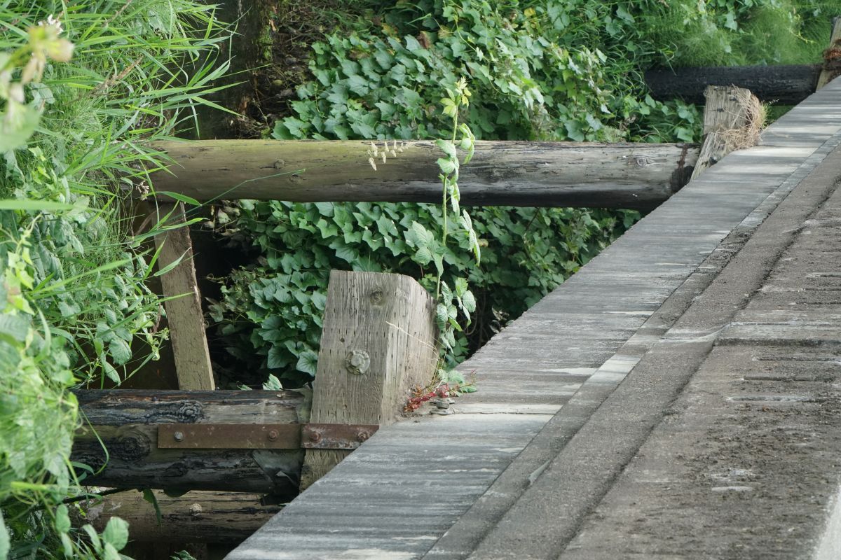 Closer look at the timber piles.