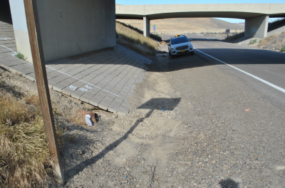 Image of eroded slope, as viewed under the bridge.