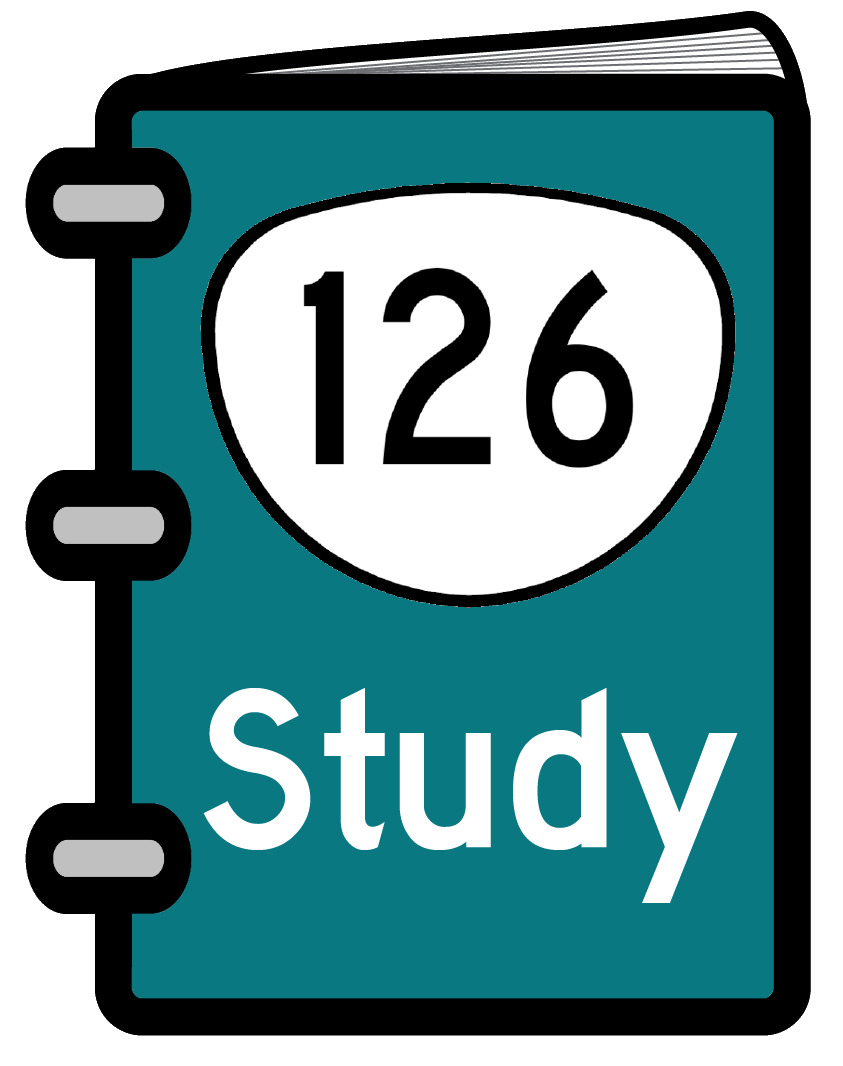 final study report icon