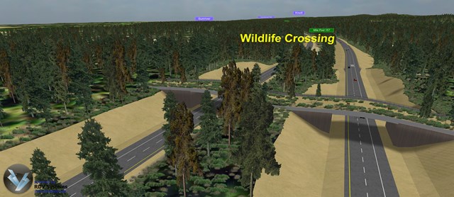 Wildlife overcrossing example