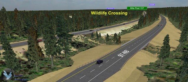 Wildlife undercrossing example