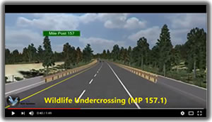 Video of wildlife alterantives