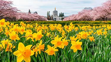 Distracted Driving advertisement