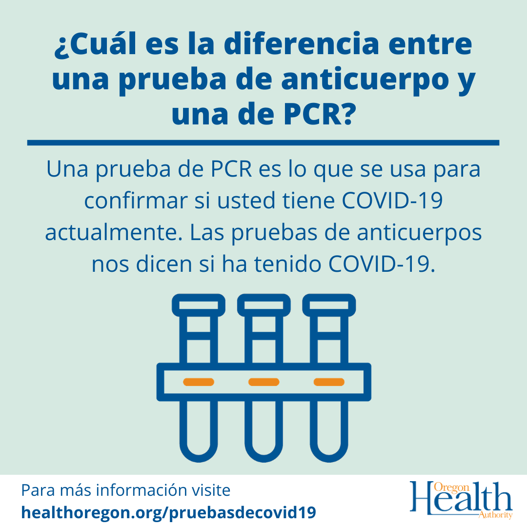 what's the difference between an antibody and PCR test?