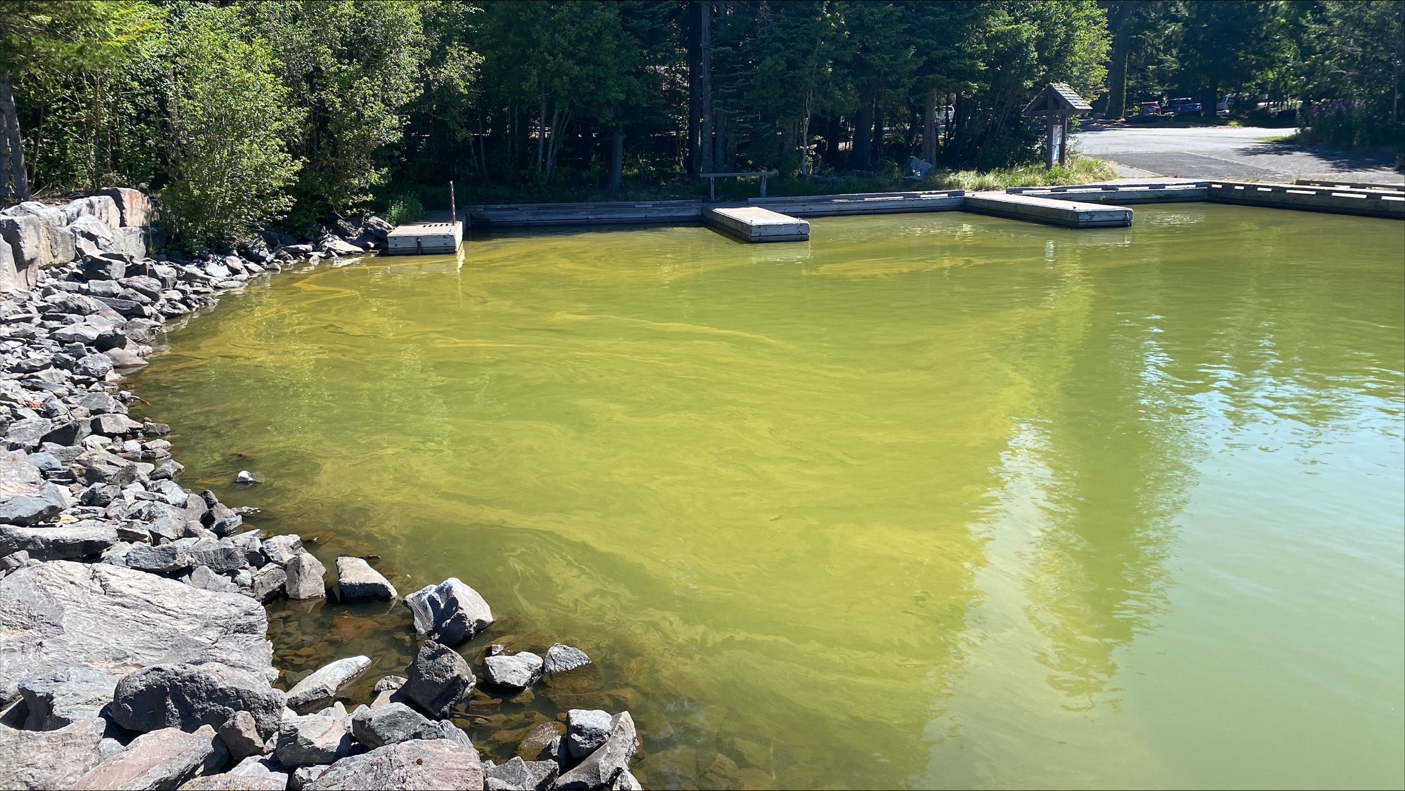 Odell Lake Algae Bloom Photograph