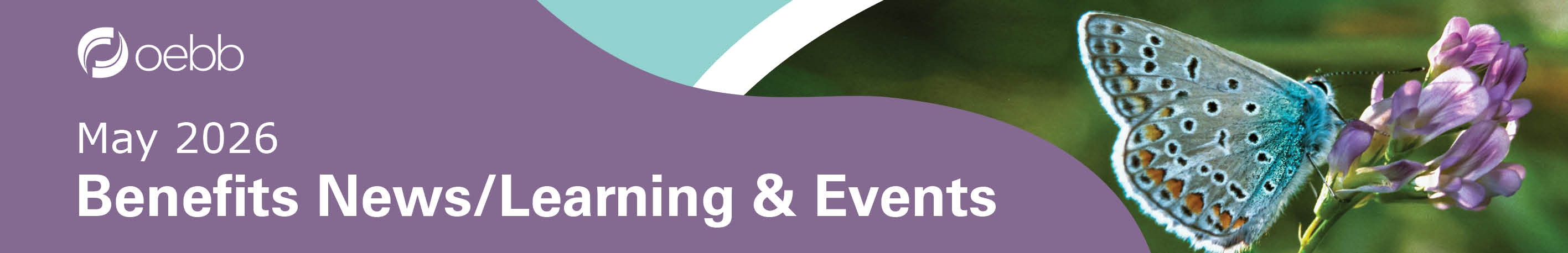 OEBB-Newsletter-Learning-Banner.jpg
