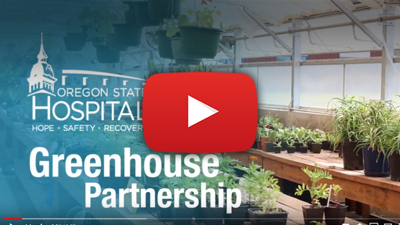 Greenhouse video