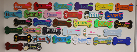 Service Dog names painted on wooden bones