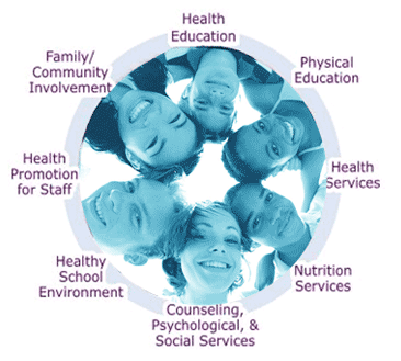 Eight components of coordinated school health