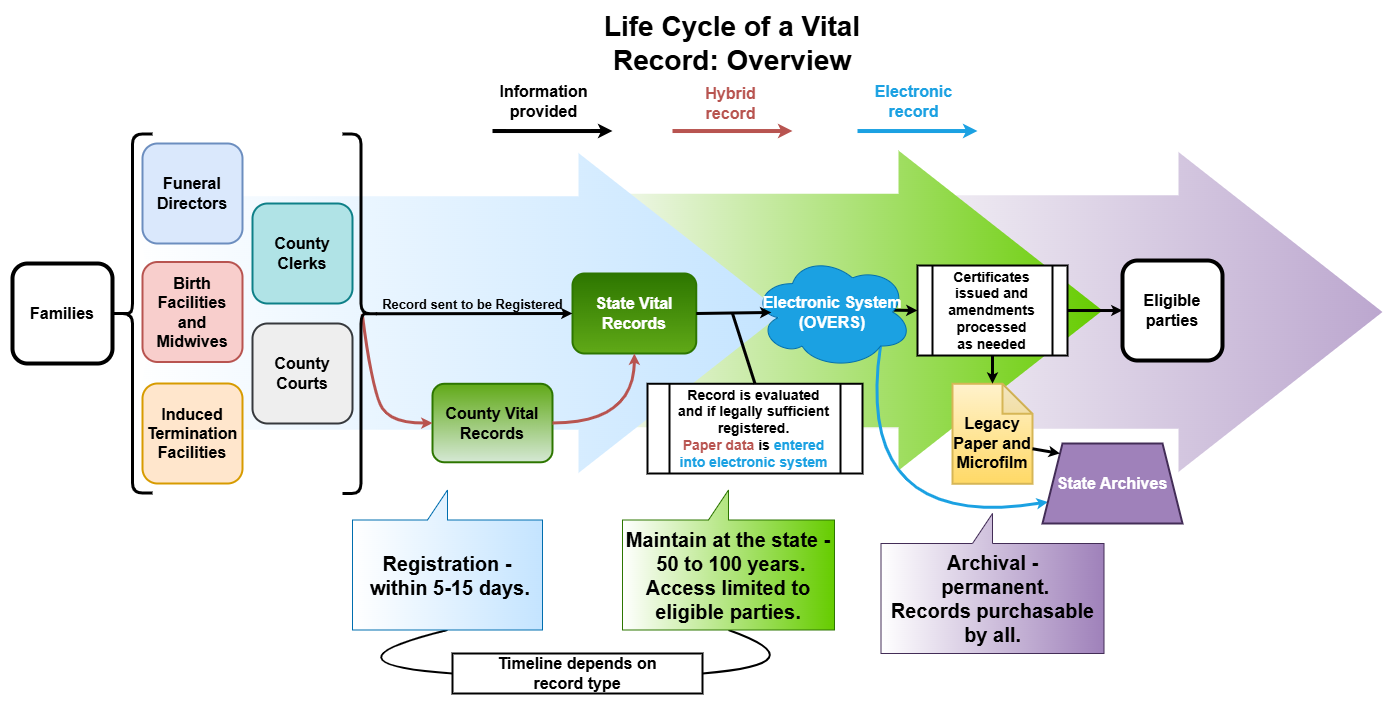 A large flowchart titled "Life Cycle of a Vital Record: Overview"