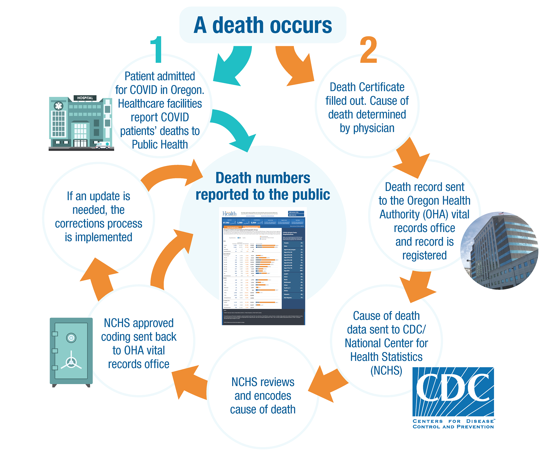 COVID-19 death reporting process diagram