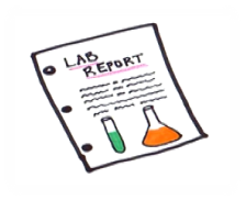 Lab Report Image