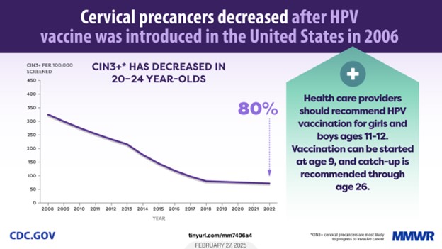 Cervical precancers decreased after HPV vaccine was introduced in the USA in 2006