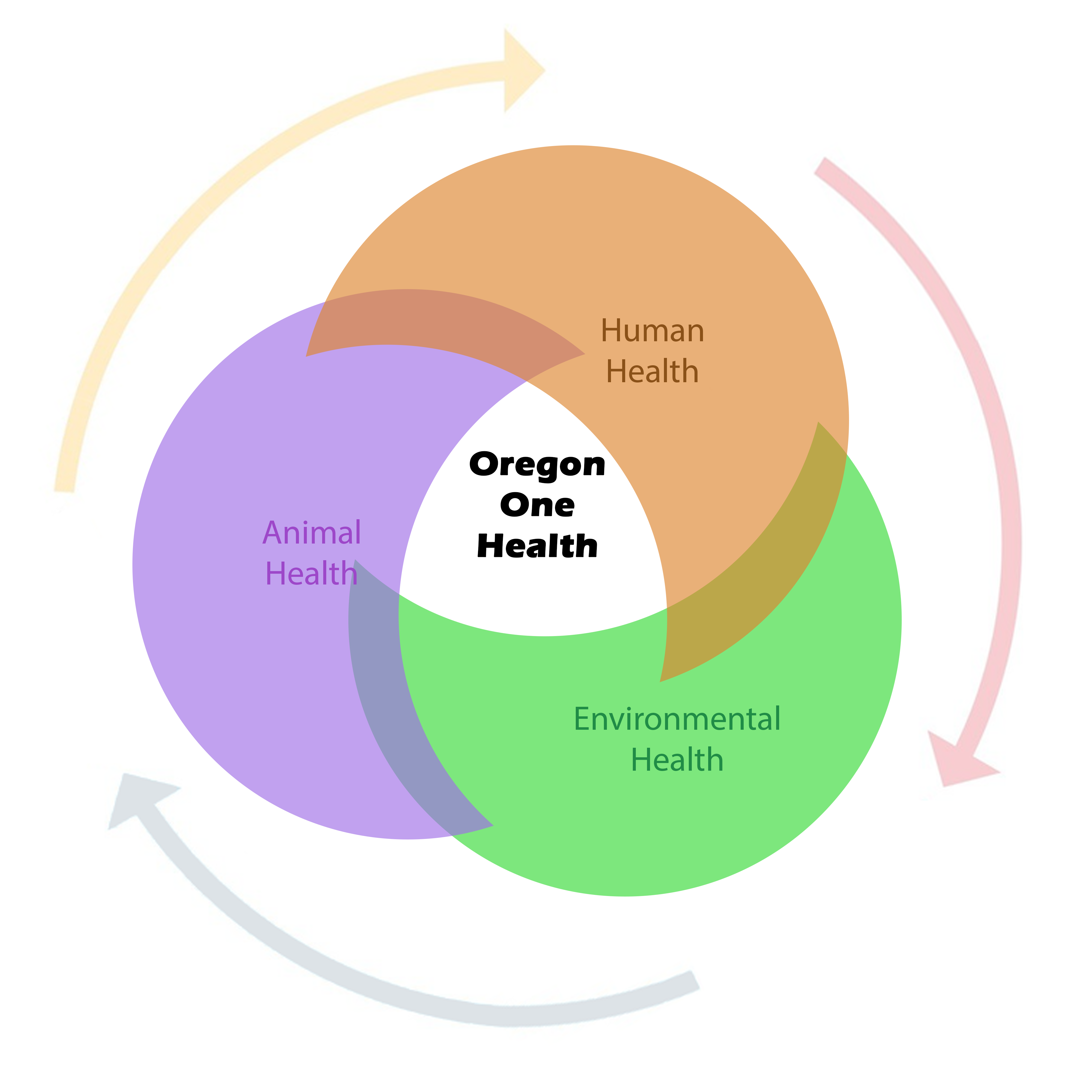 Oregon One Health Logo.png