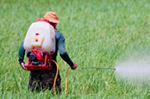 person spraying pesticide