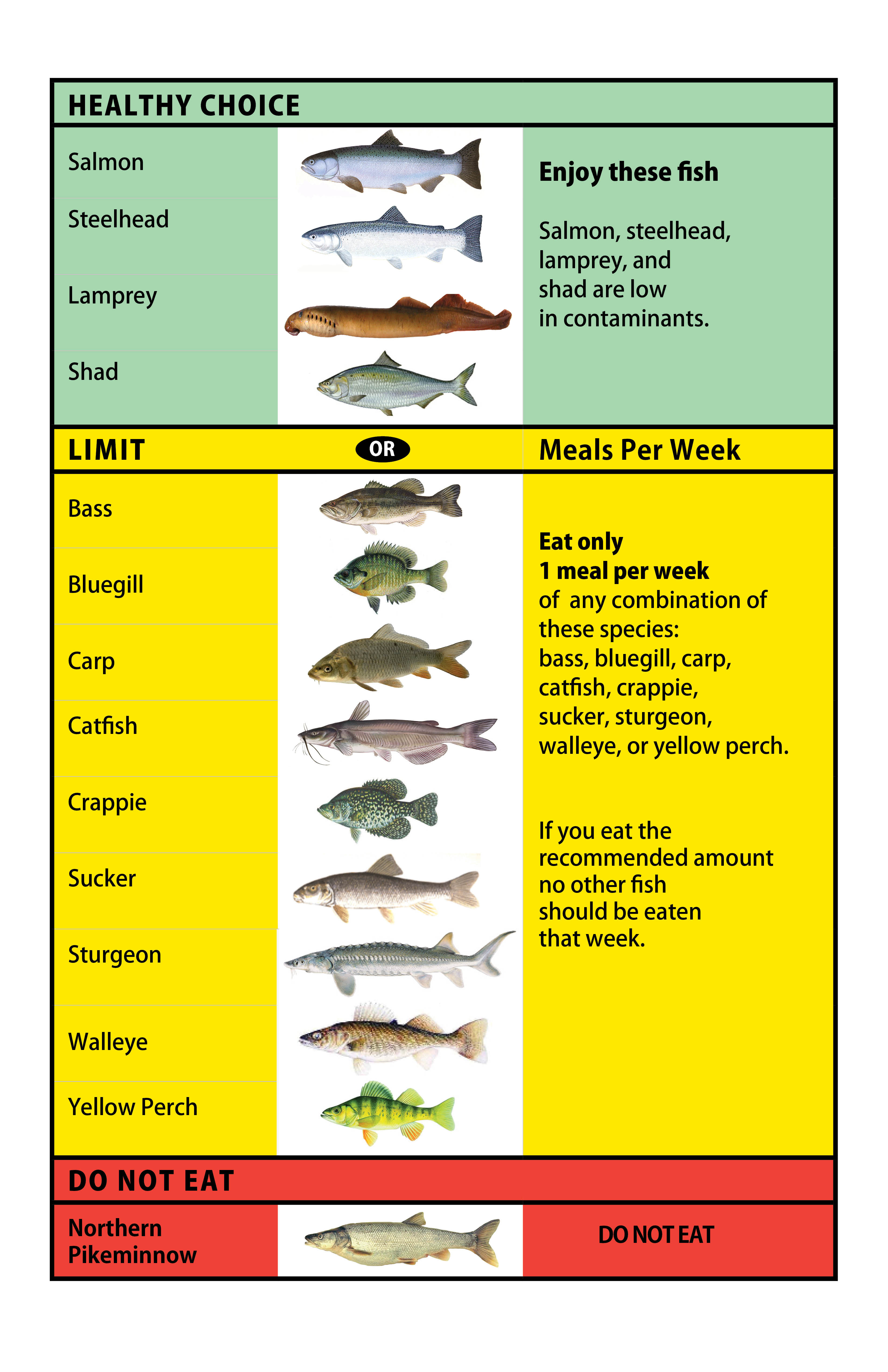 Seafood Mercury Chart