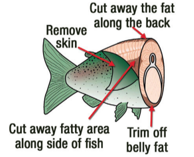 Fish cleaning diagram