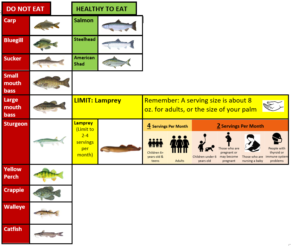 BI fish advisory table.PNG
