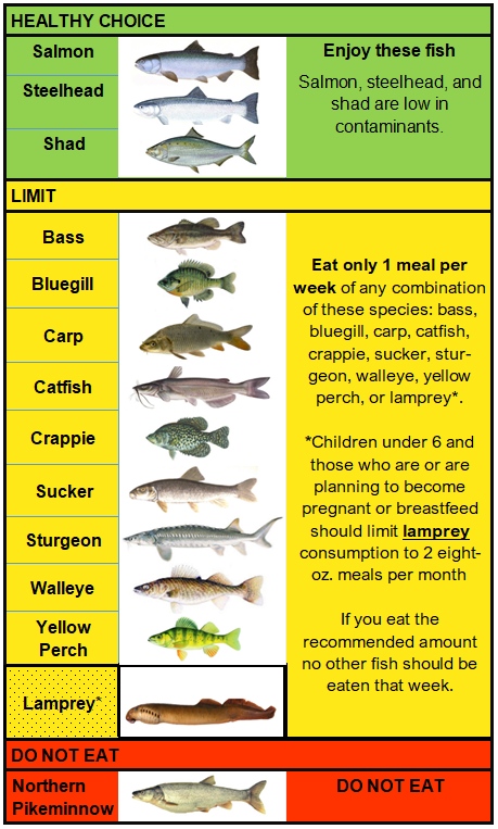 MidColumbia fish advisory table.PNG