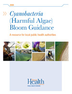 CHAB Guidance for Local Public Health Authorities.png