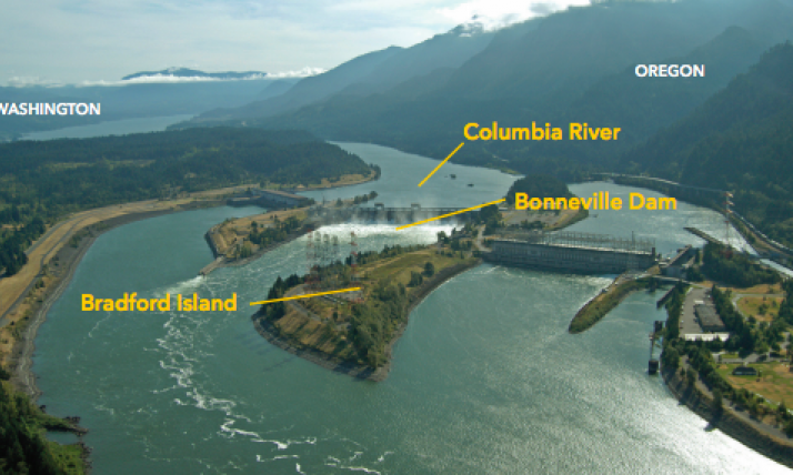 Photo shows aerial view of Bonneville Dam Complex, Photo credit Bonneville Power Administration