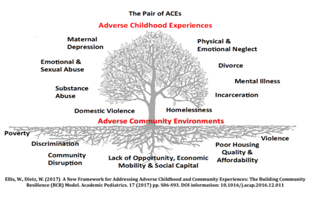 The "Pair of ACEs Tree" image represents the connection between adverse childhood experiences (ACEs) and adverse community envir