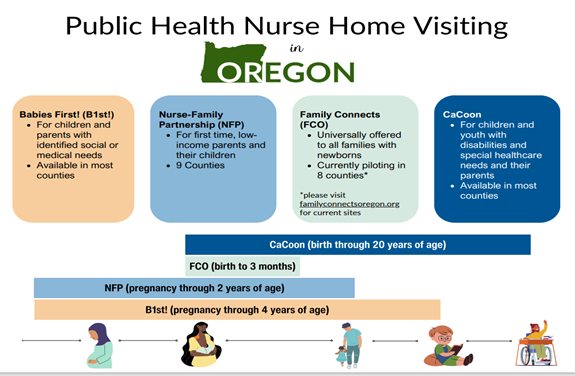 PHN Home Visiting Graphic.png