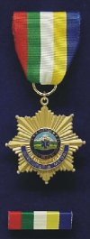EMS Impact Medal